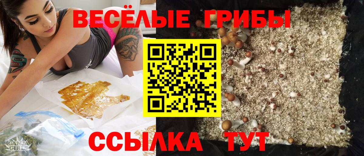 Псилоцибиновые грибы Magic Shrooms Клин