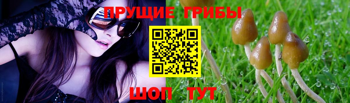 как найти закладки  Галлюциногенные грибы Cubensis  Вход с VPN  Клин 